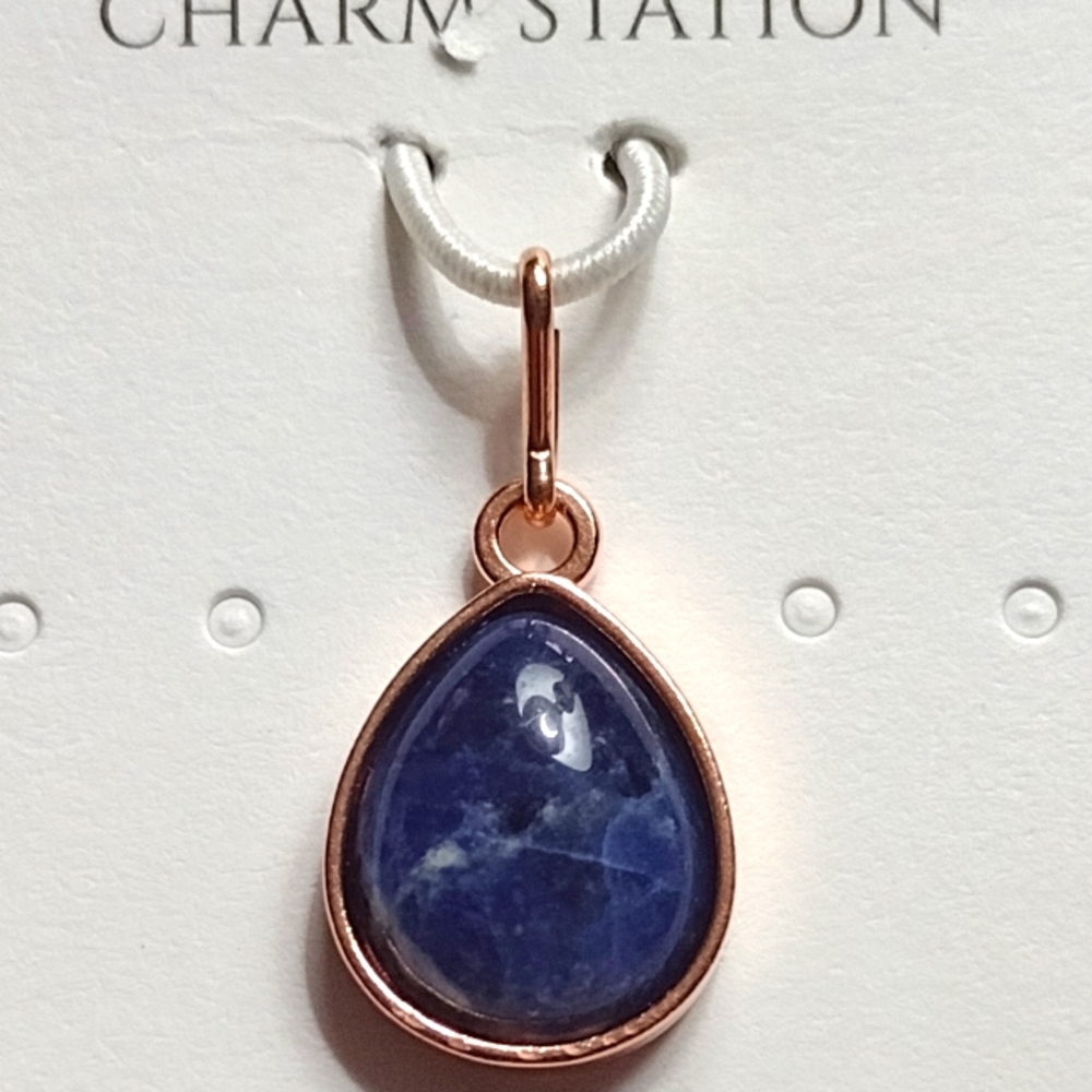 ALEX AND ANI Sodalite Charm